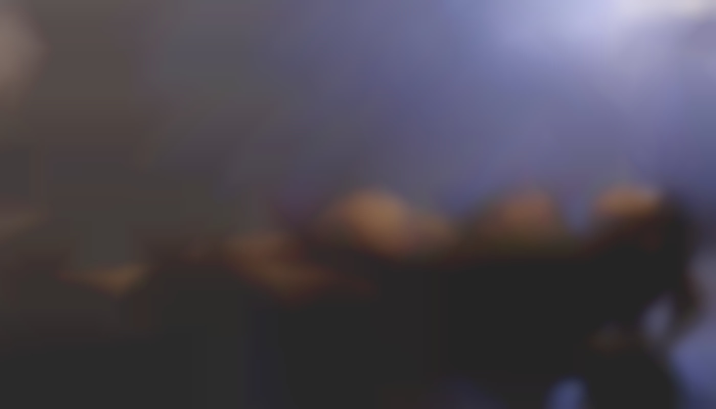 Comment les rencontres en ligne changent les normes sociales ?